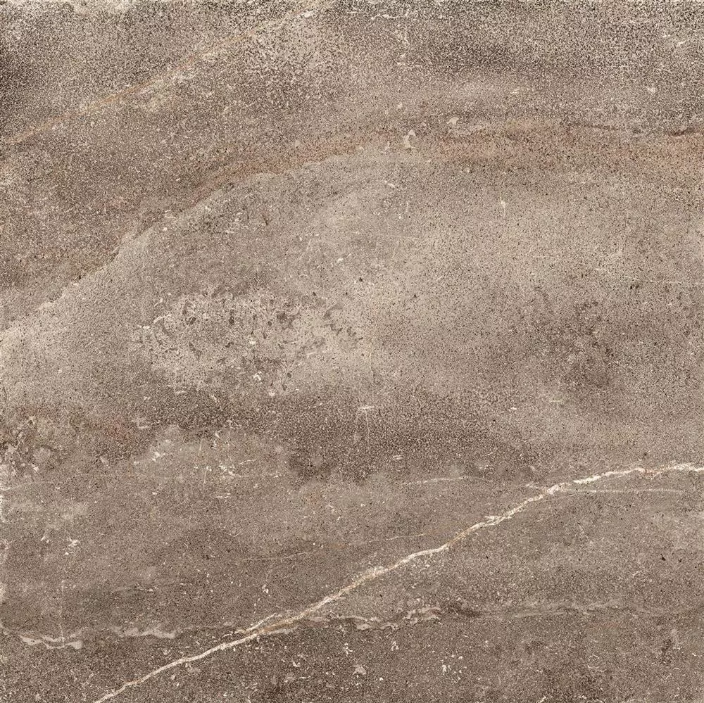 Gulvfliser Detmold Naturstein Utseende 60x60cm Brun