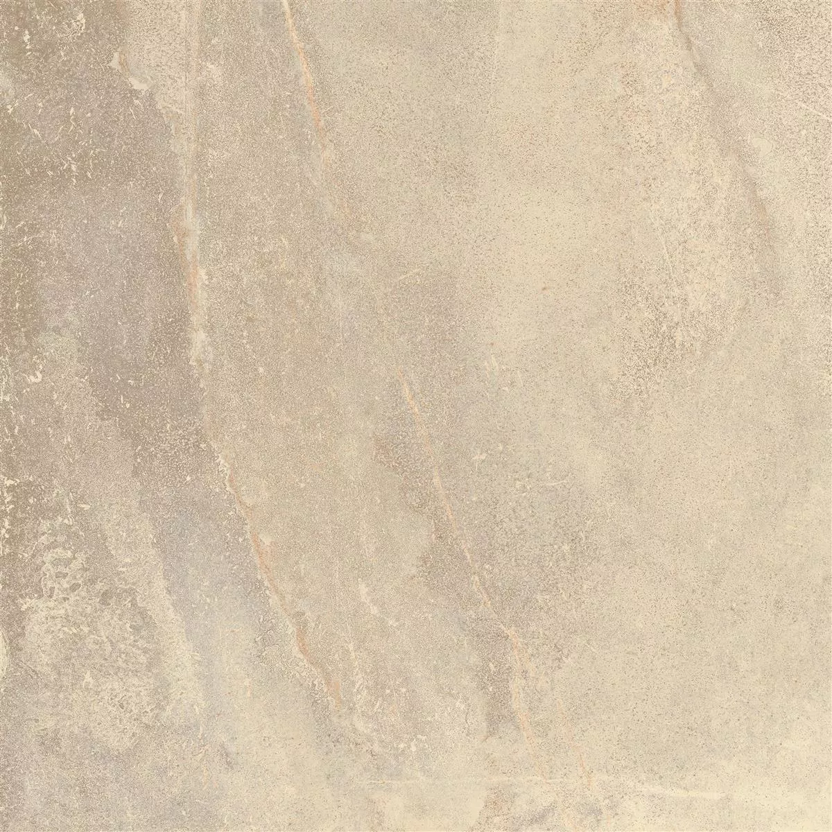 Mønster Gulvfliser Detmold Naturstein Utseende 60x60cm Beige