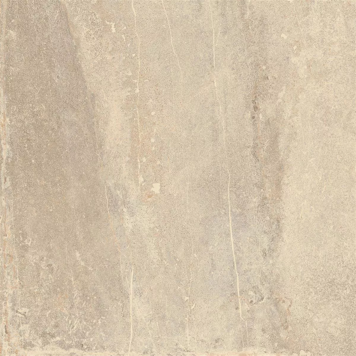 Mønster Gulvfliser Detmold Naturstein Utseende 60x60cm Beige