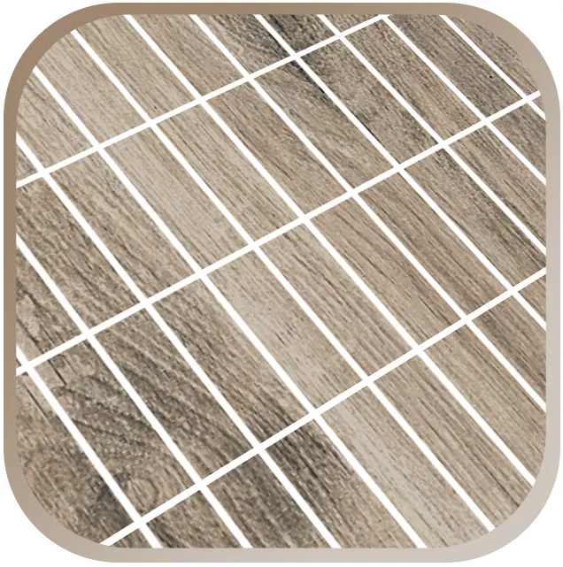 Mosaikktre Utseende Mosaikktre Utseende