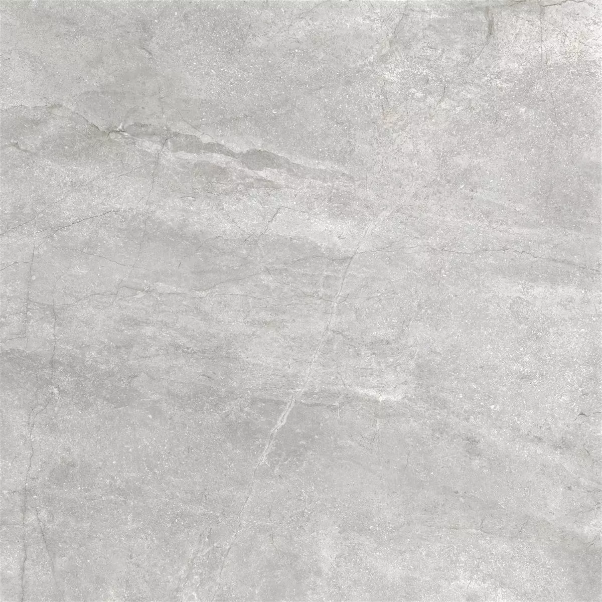 Gulvfliser Pangea Marmor Utseende Frostet Sølv 60x60cm