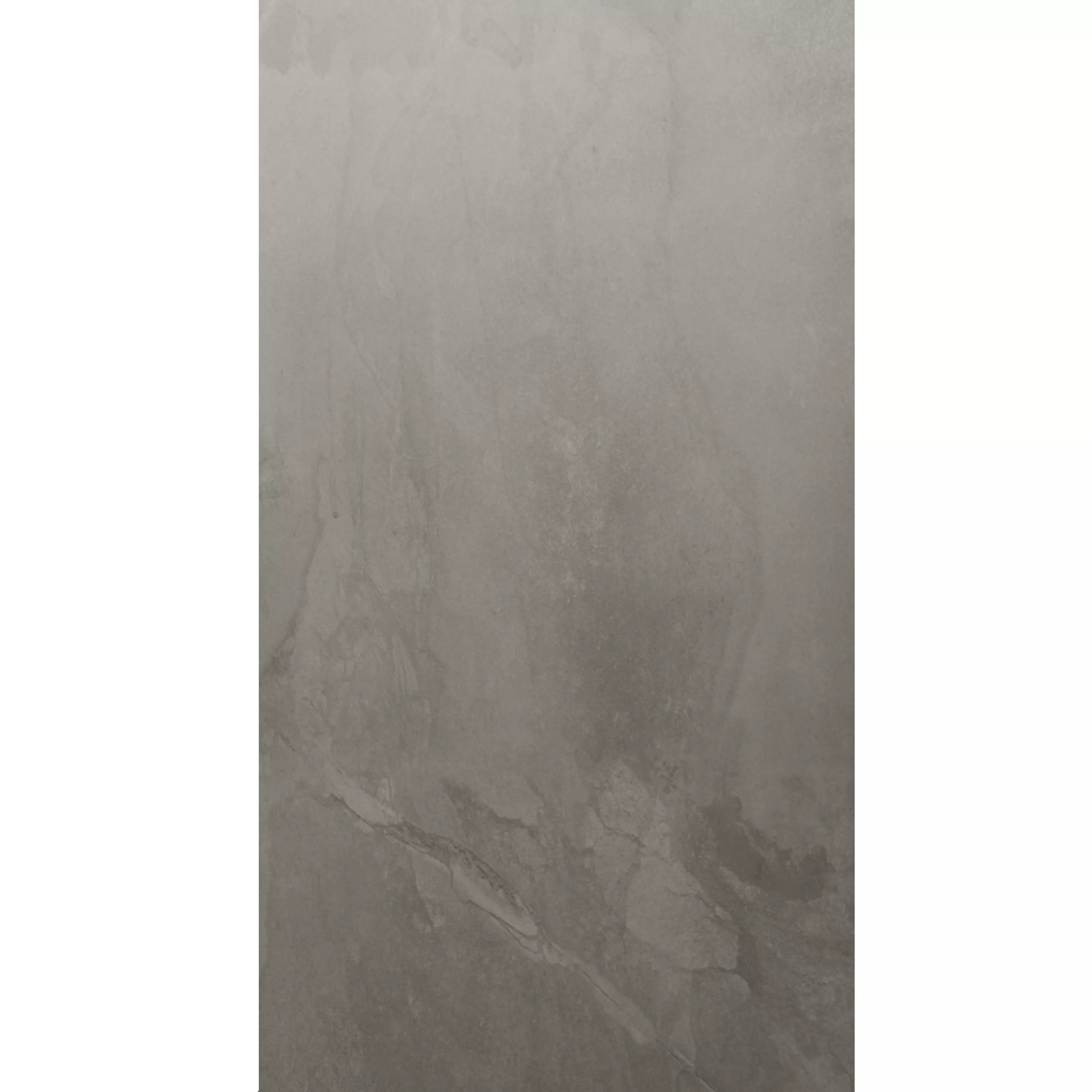 Gulvflis Moneta Frostet Greige 60x120cm