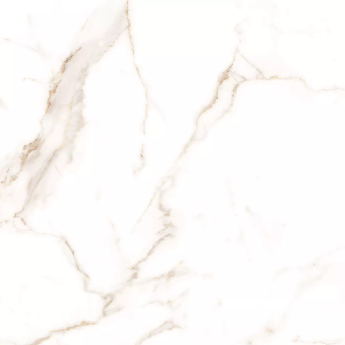 Epic Weiß Gold Matt 60x60 cm