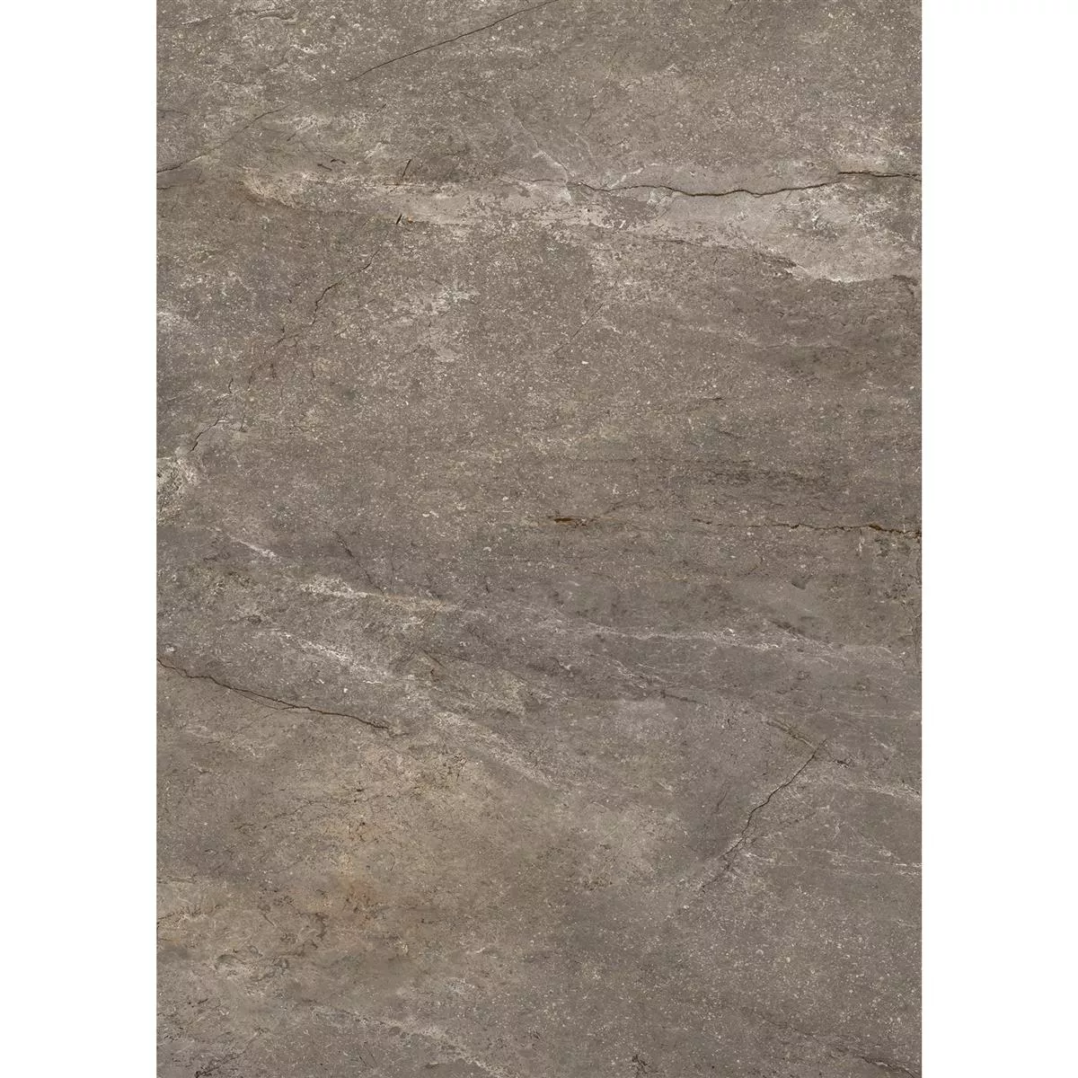 Gulvfliser Pangea Marmor Utseende Polert Mokka 60x120cm