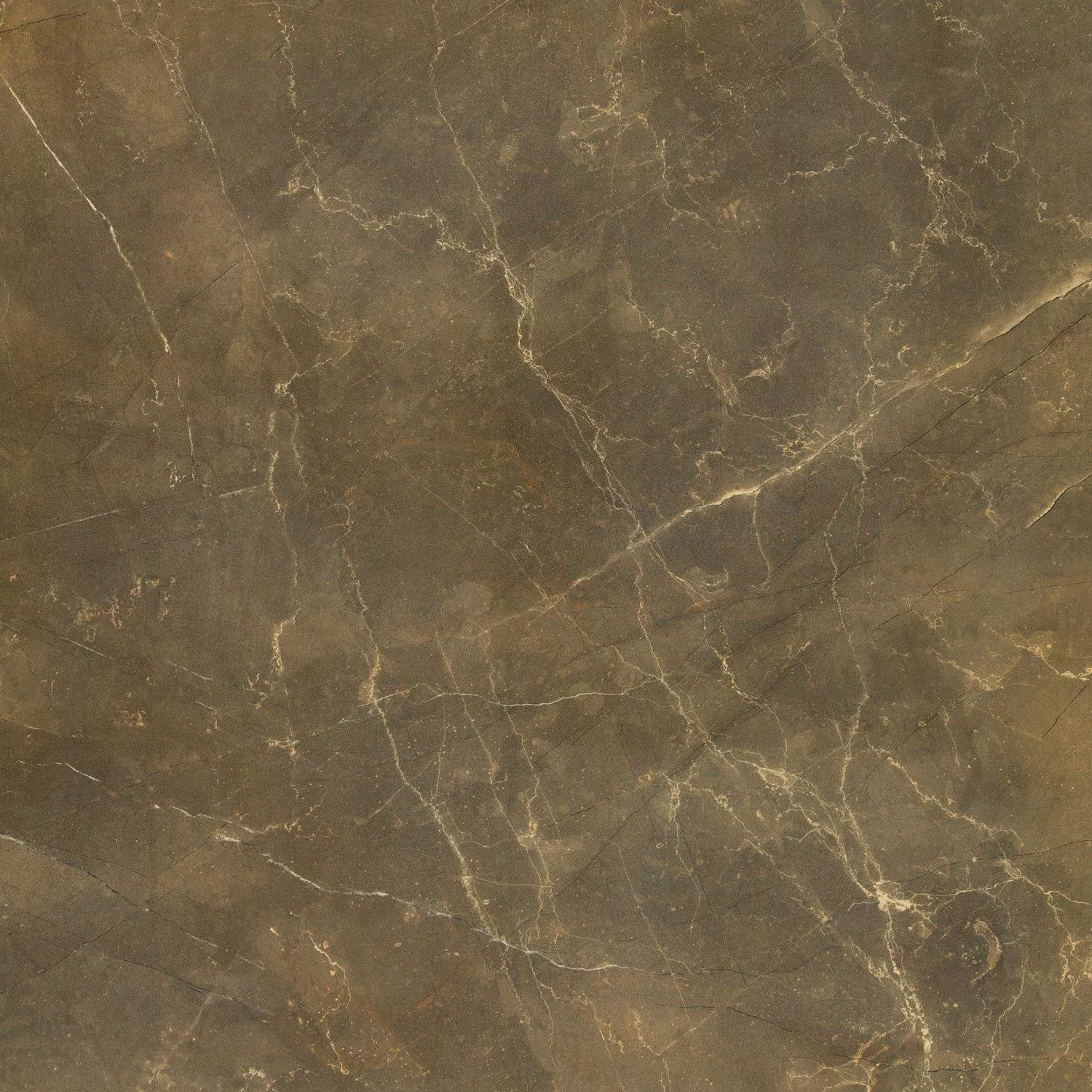 Gulvfliser Marmor Utseende Imperial Khaki 80x80cm Gulvfliser Marmor Utseende Imperial Khaki 80x80cm